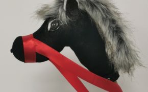 Terapeuta zajęciowy (18)