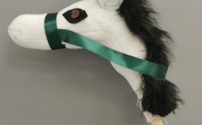 Terapeuta zajęciowy (19)