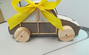 Terapeuta zajęciowy (27)