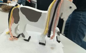 Terapeuta zajęciowy (9)