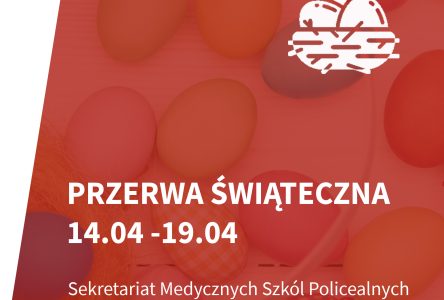 Przerwa Świąteczna