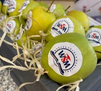 wsm-dzien-dobrego-samopoczucia-14