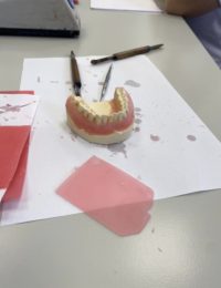 337142745_230865826132771_7739166510762195584_n