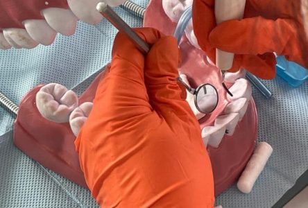 Słuchaczki kierunku „Higienistka stomatologiczna” ćwiczą w nowej pracowni!