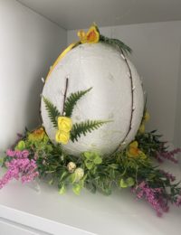 339805691_1572313223174293_7093614604256251897_n