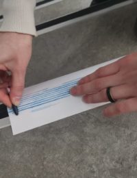 341158056_247712337822487_9011304103863499157_n