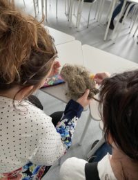 343770158_732939338580031_4143041829781916980_n