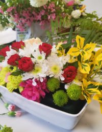 352301705_722882566512383_1268609924108805810_n