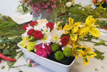 Terapeuta zajęciowy – zajęcia z florystyki