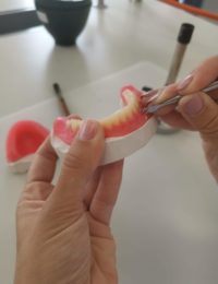 354459114_727922912675015_7311705188723131716_n