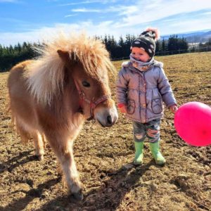 434766853_932637445536893_7291299590051869929_n