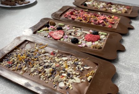 Dni Otwarte Medycznych Szkół Policealnych w Kłodzku