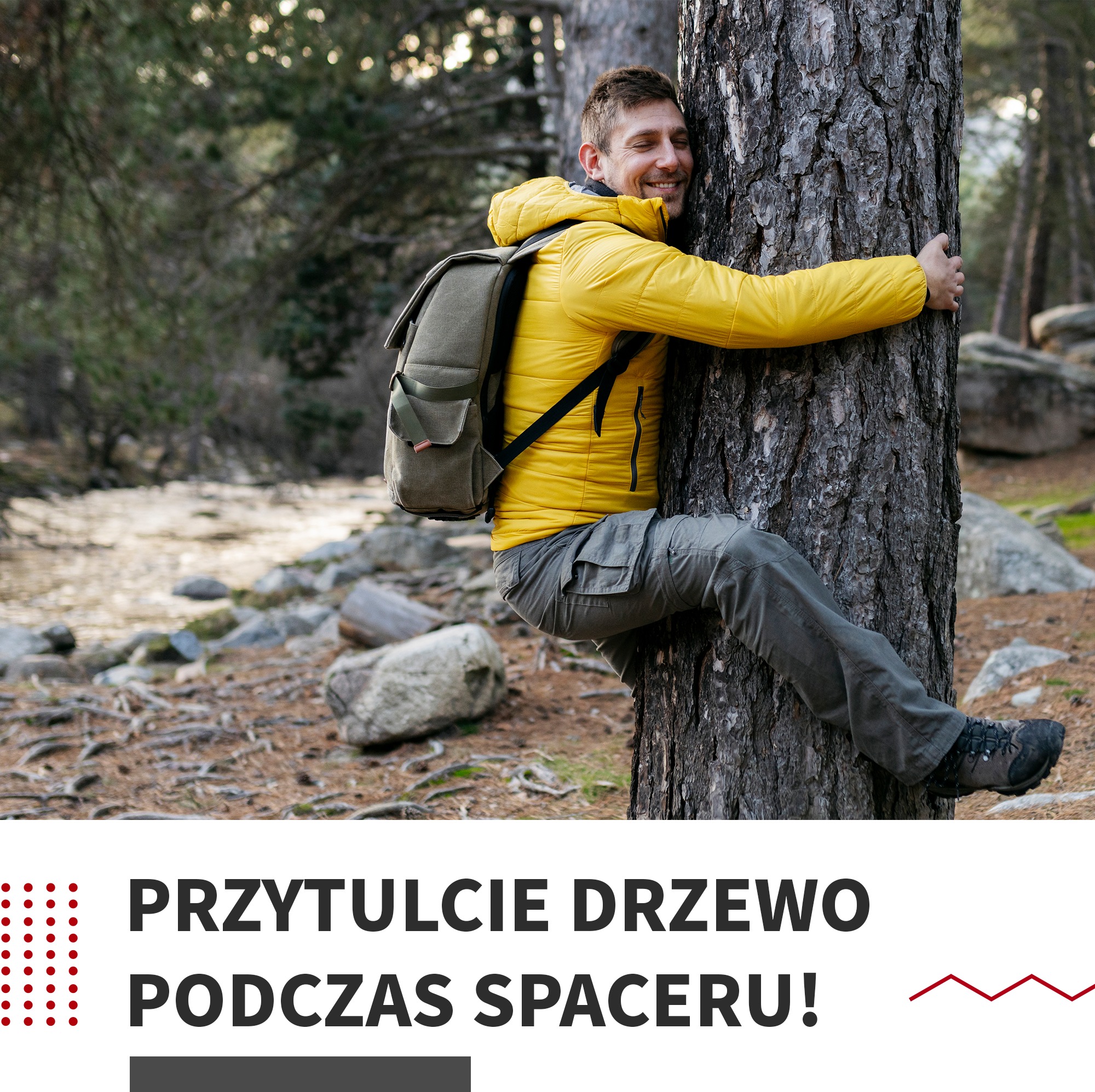 Przytulcie drzewo podczas spaceru