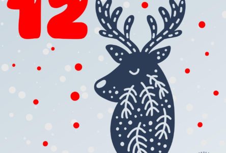 Ekologiczne dekoracje