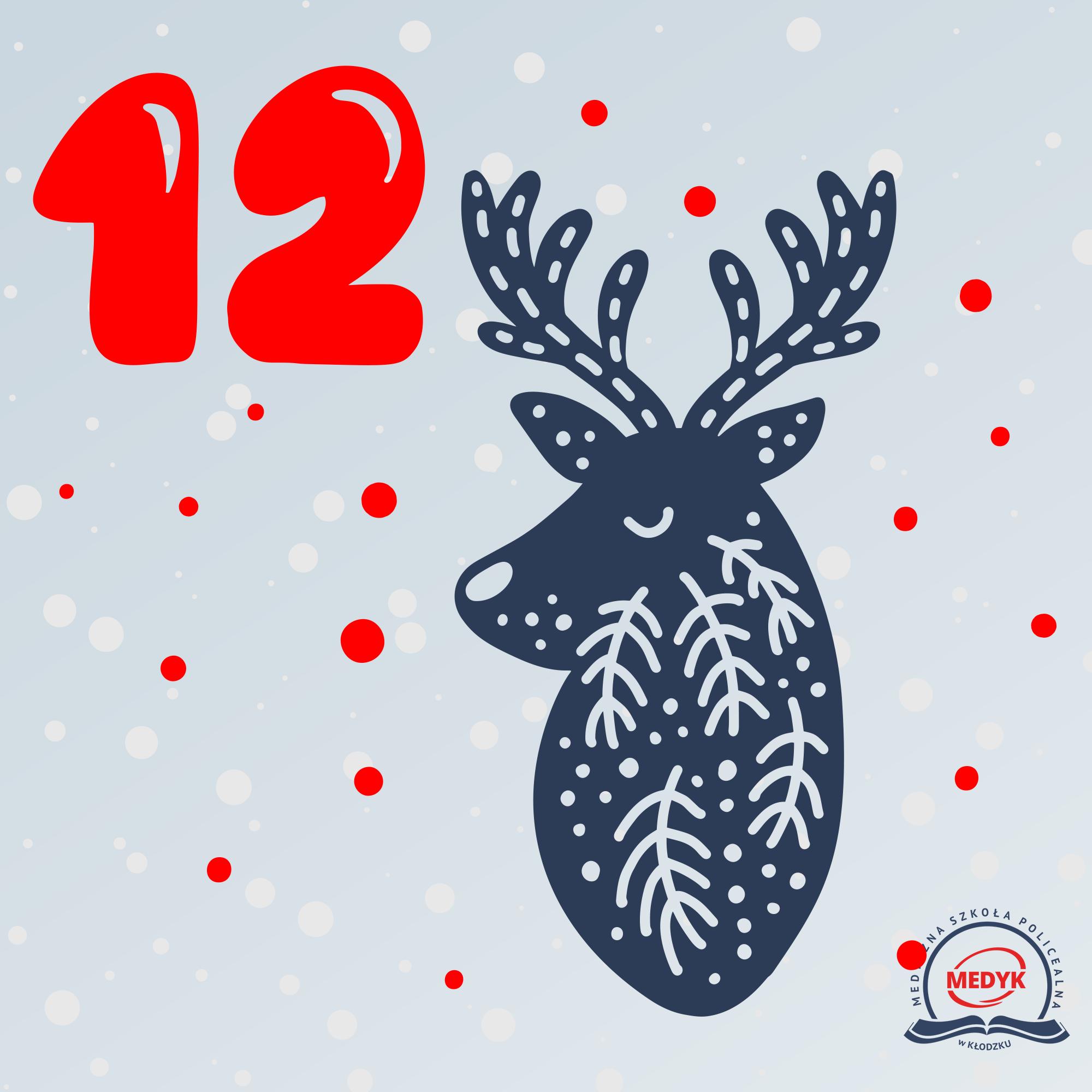 Ekologiczne dekoracje