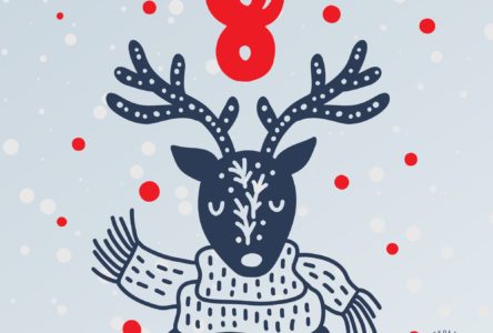 Świąteczny komfort dla seniorów – porady od Opiekunów Medycznych