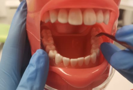 Dziś obchodzimy Ogólnopolski Dzień Dentysty!